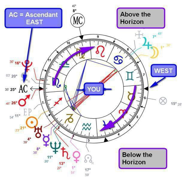 Radix representation in Is Astrology real? Can it predict my future?