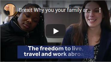 Brexit Remain advert in Why Brexit is a catastrophe for the United Kingdom