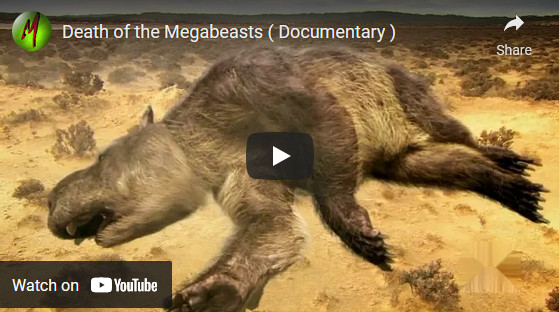Quaternary extinction, Australian Megafauna disappearance