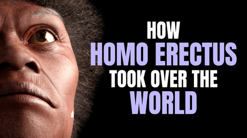 How Homo Erectus took over the world