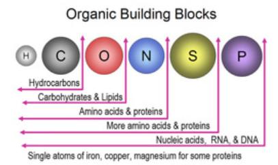 Organic Building Blocks