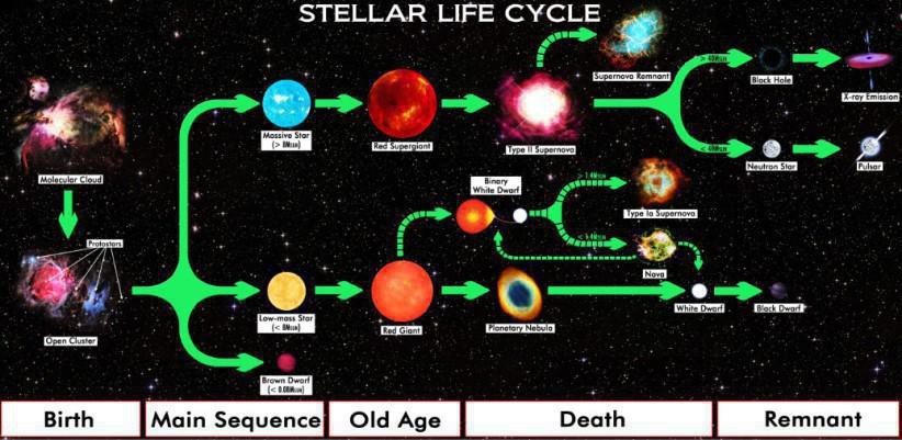 Stellar Life Cycle among the why are we here question