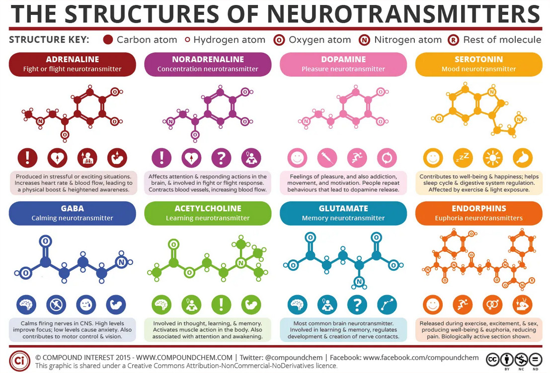 The Structures of Neurotransmitters in our brains, the biggest mystery