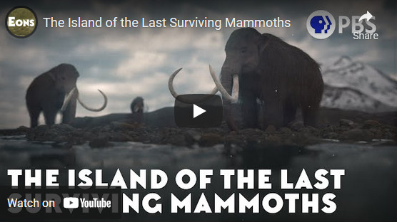 The Island of the Last Surviving Mammoths