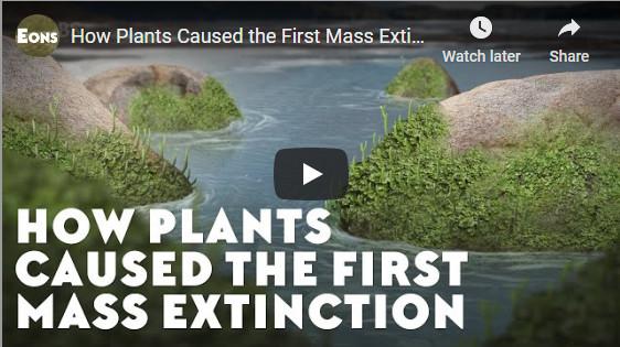 List of extinction events number 8