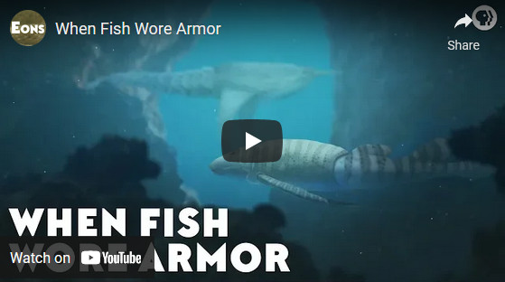 When fish wore armour