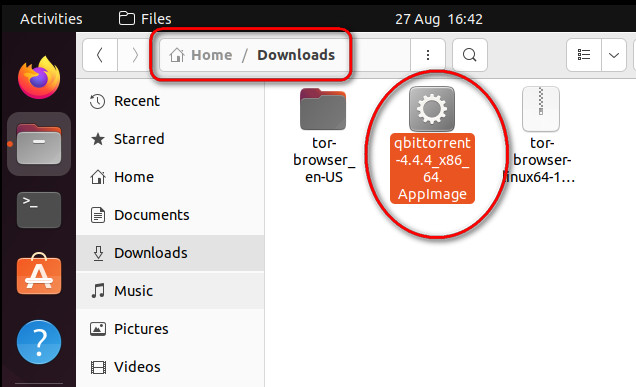 Start qBitTorrent