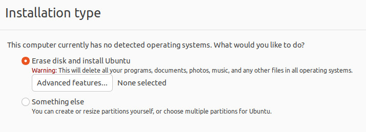 Ubuntu installation type