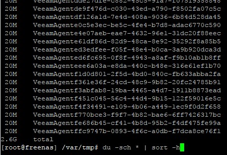 Output of file in var folder is full on FreeNAS Linux - PRTG Reporting