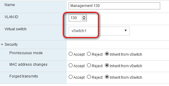 Create port group and associate it to the new virtual switch