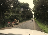 On the left hand side, the 2nd most typical vehicule in Laos after a cow