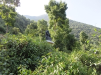 At the foot of the "hill", a Buddha guards the climb