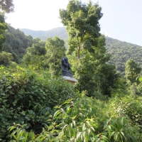 At the foot of the "hill", a Buddha guards the climb