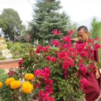 Kopan monastery garden