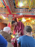 "Milk tea" was offered while listening to Ling Rinpoche teaching in Tibetan