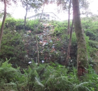 This household decided to use a nearby cliff to the jungle as its rubbish bin...education is the key