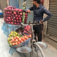 Selling fruit, a bicycle, a scale and lots of patience and dedication