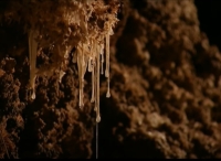 Snotite, single cell bacteria living in Cuevas de la Villa Luz, South Mexico, no sunlight whatsoever