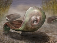  Odontogriptus had a circular mouth rigged with teeth, appeared during the Cambrian Explosion but went extinct during this event