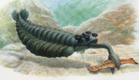 Opbabinia also was extinct during this entry in our list of extinction events