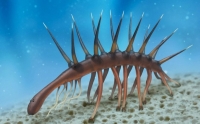  Hallucigenia, thought to have developed the first eyes under the icy water of Snowball Earth 2, fell into extinction during this event