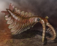 Anomalacaris, the frist predador, could measure over 1 meter and appeared during the Cambrian Explosion and did not survived this extinction