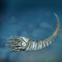  Cyrtoceras cephalopod during the Ordovician-Silurian 