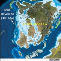 Mid Devonian 385 Mya