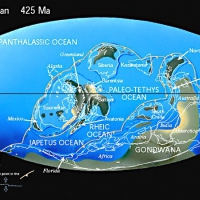 Middle Silurian 425 Mya, is when coral reefs expanded, and land plants began to grow into the continents