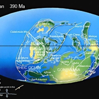 Early Devonian 390 Mya, forests grew for the first time in que equatorial regions of Artic Canada