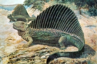 Dimetrodon were wipe out during this event, they were NOT dinosaurs, they belong to the family of Edaphosauridae