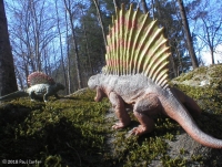 Dimetrodon Vs Edaphosaurus, both members of Pelycosaurs (pelycosaurs had a long bony spines supporting a crest)