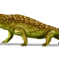 Anteosaurus