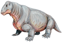 Dinocephalians, meaning "terrible head"