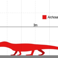 Archosaurus Rossicus
