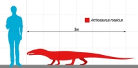 Archosaurus Rossicus