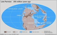 Late Permian 255 million years ago