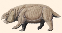 Lisowicia bojani, an elephant-size dicynodont went extinct