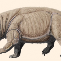 Lisowicia bojani, an elephant-size dicynodont went extinct