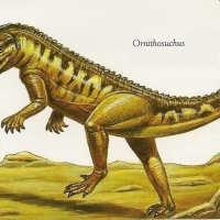 Ornithosuchus (meaning "bird crocodile"), it could stand up and run after you
