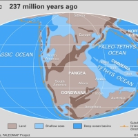 Early Triassic 237 million years ago