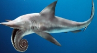Helicoprion (meaning "Spiral Saw") went into extinction 225 Mya, in between this entry in our list of extinction events and entry number 18