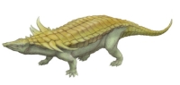 Desmatosuchus were related to crocodiles