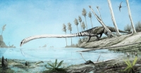 Tanystropheus was a 6 metre (20 ft) long prolacertiform marine reptile