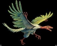 Archaeopteryx lived around this time