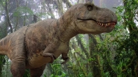 Needs no presentation: Tyrannosaurus Rex, the most famous of all dinosaurs