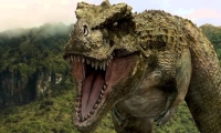Tarbosaurus, easily confuse with the T-Rex, it had a more slender skull thatn the Rex. Both were formidable predators