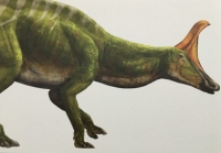 A life reconstruction of the hadrosaurid Tsintaosaurus by the renowned Chinese palaeoartist Zhao Chuang. The function of its bony crest remains uncertain