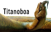 Quite capable of eating large crocodiles and living in what is now Colombia-Venezuela, the Titanoboa went into extinction around this time in spite of the warm climate