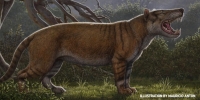 Simbakubwa was a gigantic hypercarnivore (one whose diet is more than 70% meat) that got extinct around this time, maybe affected by environmental changes due to eruptions in the Rift Valley? 